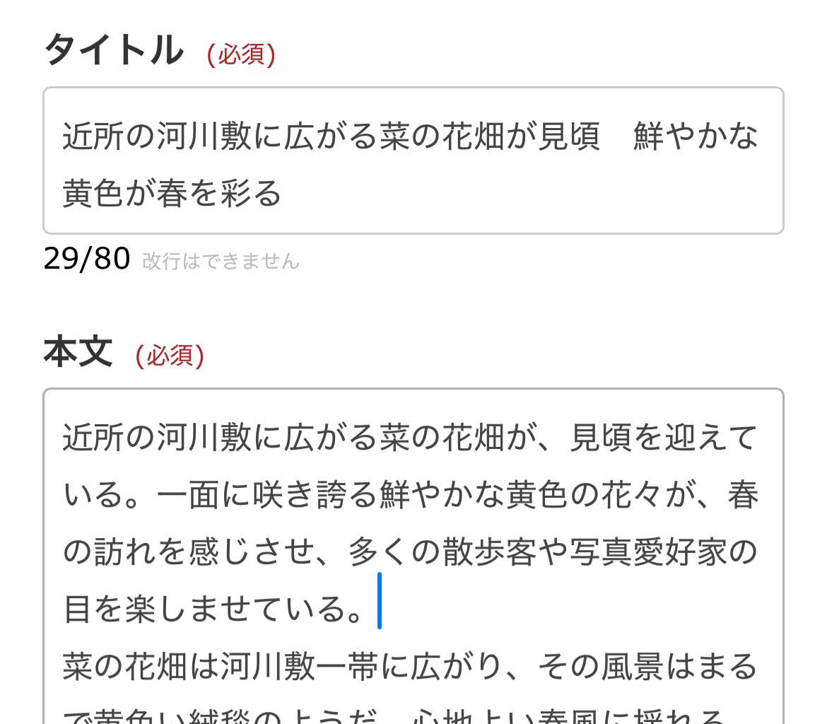ペーストされた入力欄