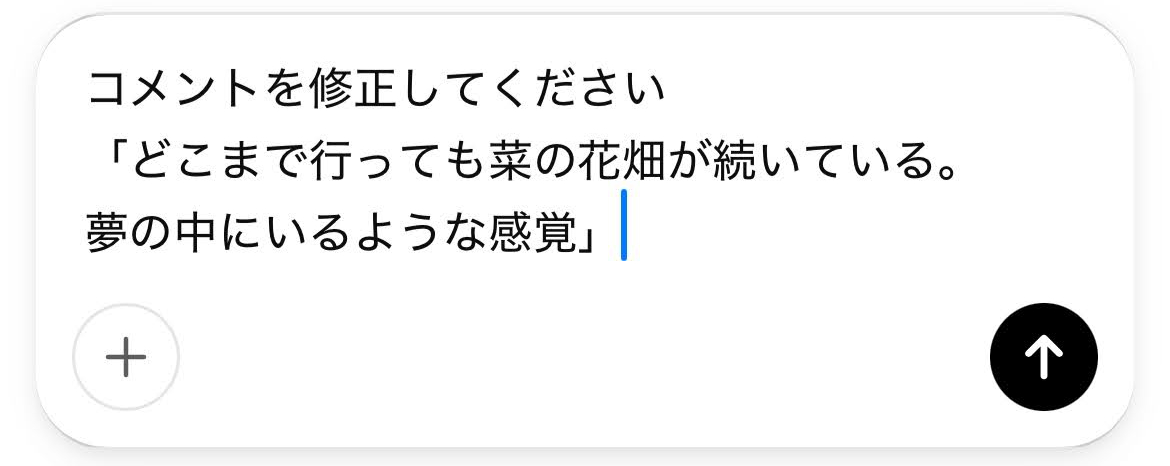 修正指示をする画面